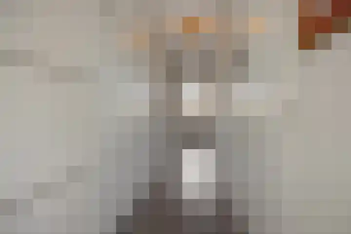 Holterveste 23 's-Hertogenbosch thumbnail 32