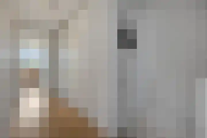 Holterveste 23 's-Hertogenbosch thumbnail 33