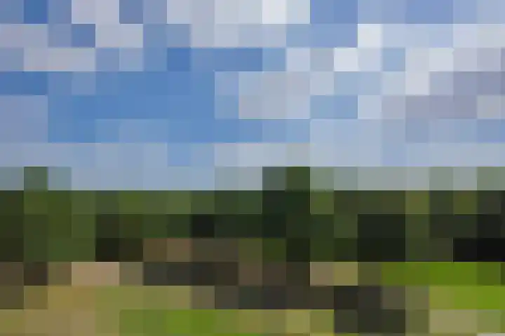 Holterveste 23 's-Hertogenbosch thumbnail 38