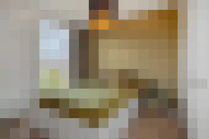 Holterveste 23 's-Hertogenbosch thumbnail 39