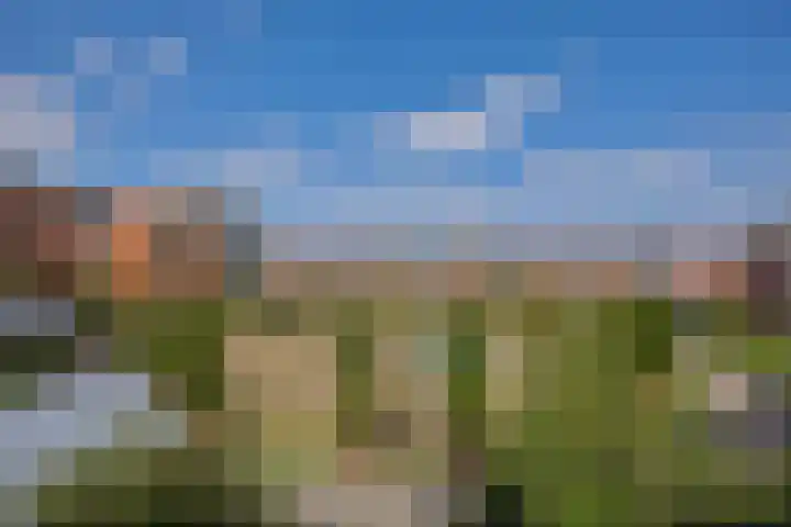 Holterveste 23 's-Hertogenbosch thumbnail 42