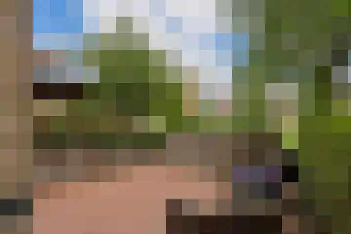 Holterveste 23 's-Hertogenbosch thumbnail 45