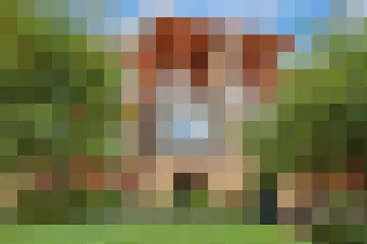 Holterveste 23 's-Hertogenbosch thumbnail 46
