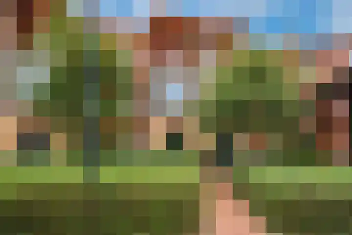 Holterveste 23 's-Hertogenbosch thumbnail 47