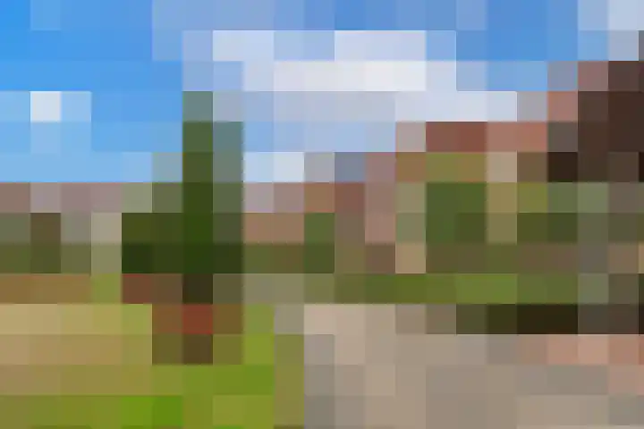 Holterveste 23 's-Hertogenbosch thumbnail 50