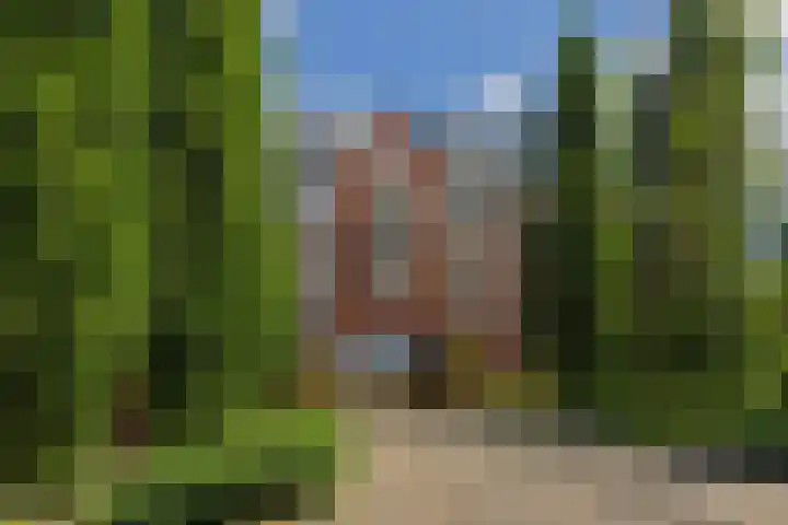 Holterveste 23 's-Hertogenbosch thumbnail 51