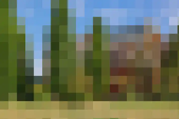 Holterveste 23 's-Hertogenbosch thumbnail 52
