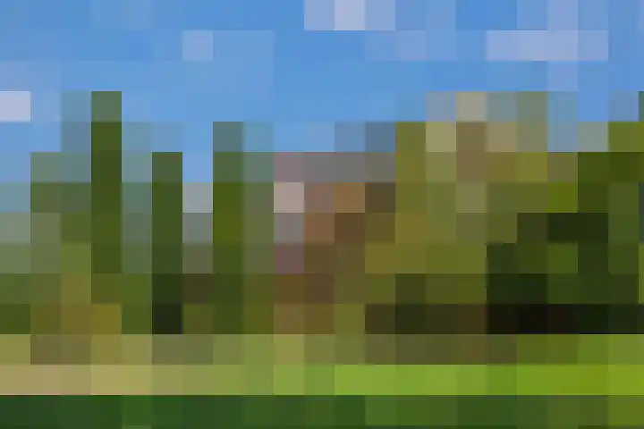Holterveste 23 's-Hertogenbosch thumbnail 53