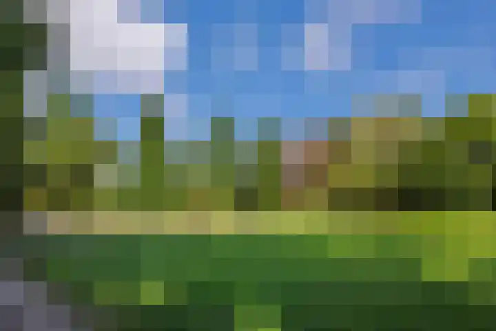 Holterveste 23 's-Hertogenbosch thumbnail 55