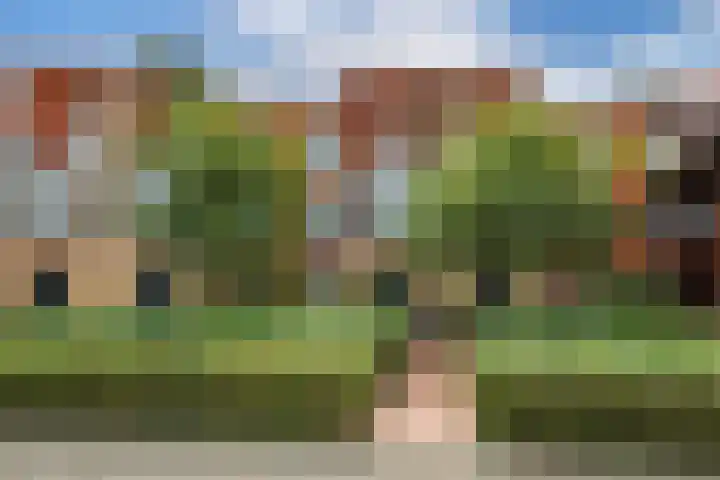 Holterveste 23 's-Hertogenbosch thumbnail 62