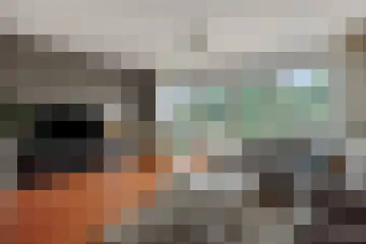 Holterveste 23 's-Hertogenbosch thumbnail 7