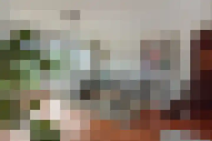Holterveste 23 's-Hertogenbosch thumbnail 8
