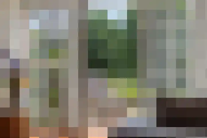 Holterveste 23 's-Hertogenbosch thumbnail 9