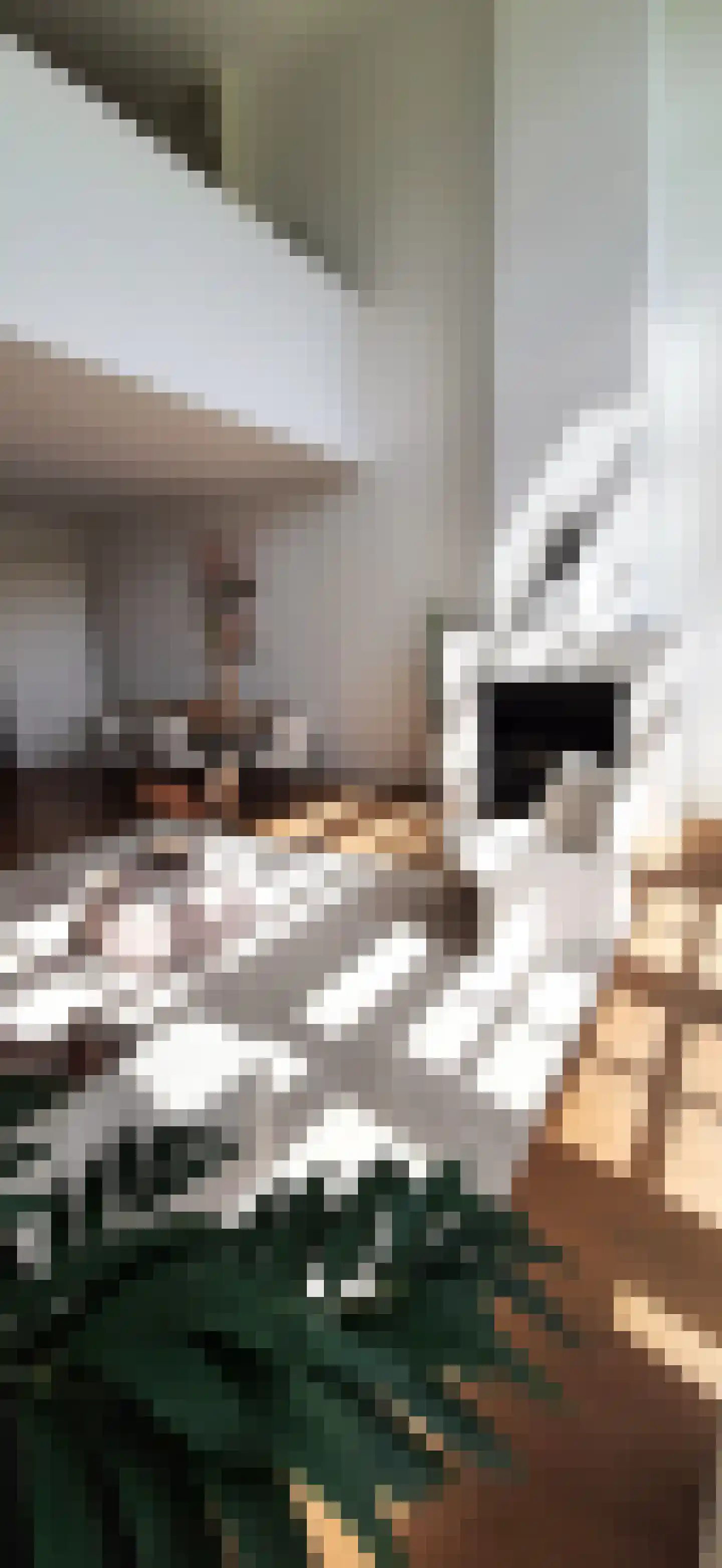 Holterveste 30 's-Hertogenbosch thumbnail 11