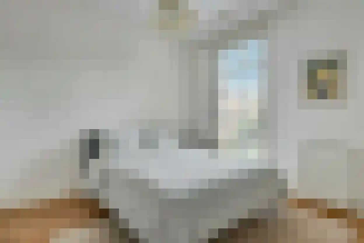 Holterveste 30 's-Hertogenbosch thumbnail 17