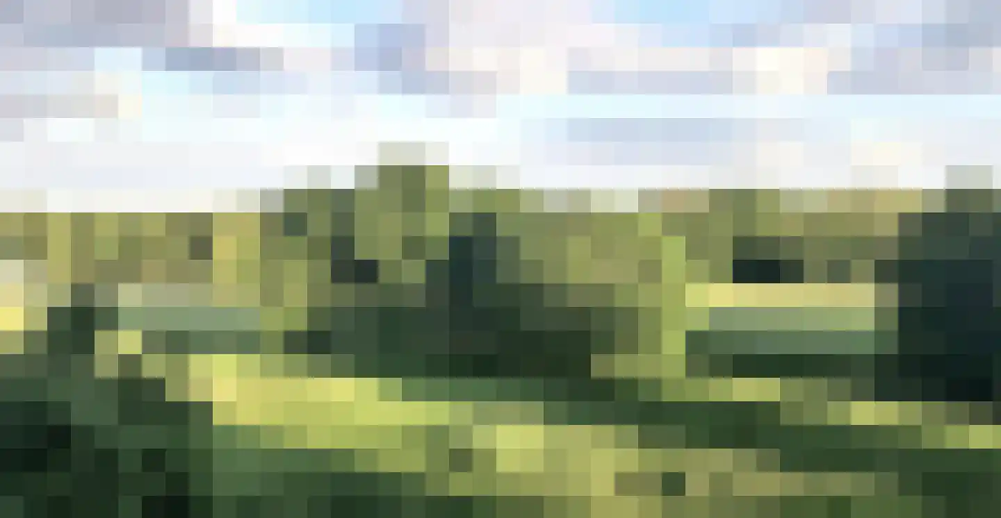 Holterveste 30 's-Hertogenbosch thumbnail 26