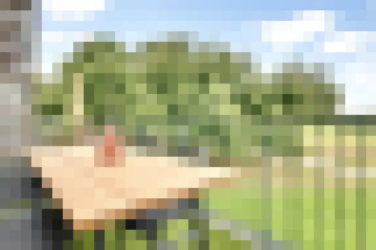 Holterveste 30 's-Hertogenbosch thumbnail 8