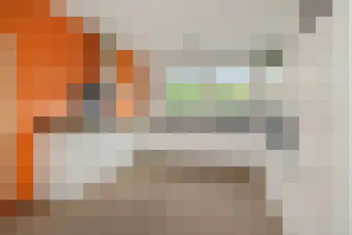 Holterveste 45 's-Hertogenbosch thumbnail 10