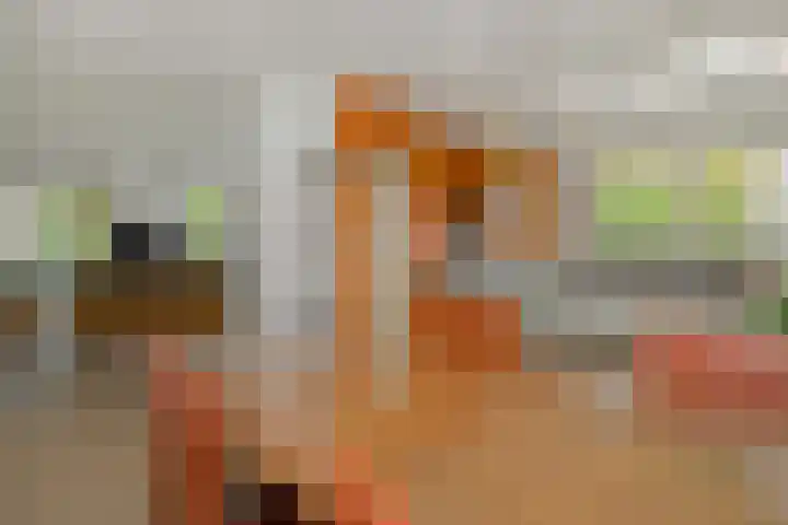 Holterveste 45 's-Hertogenbosch thumbnail 12
