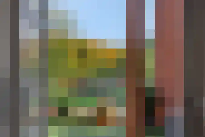 Holterveste 45 's-Hertogenbosch thumbnail 16
