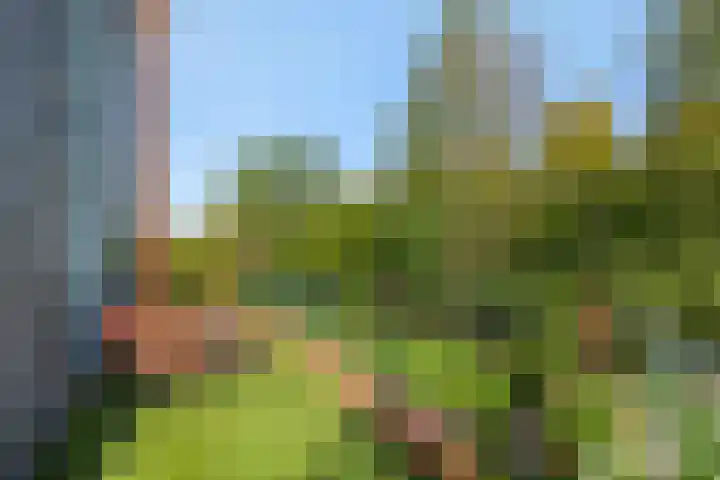 Holterveste 45 's-Hertogenbosch thumbnail 17