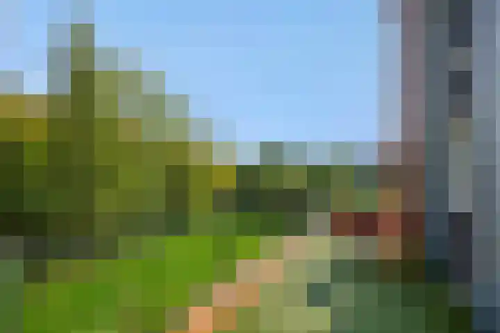 Holterveste 45 's-Hertogenbosch thumbnail 18