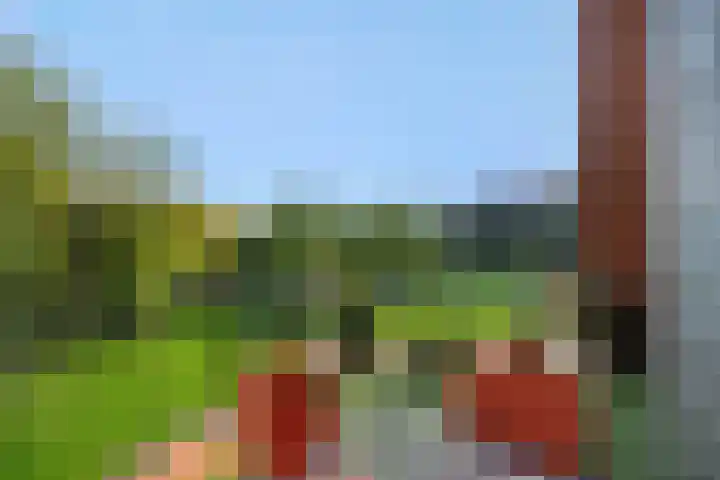 Holterveste 45 's-Hertogenbosch thumbnail 19