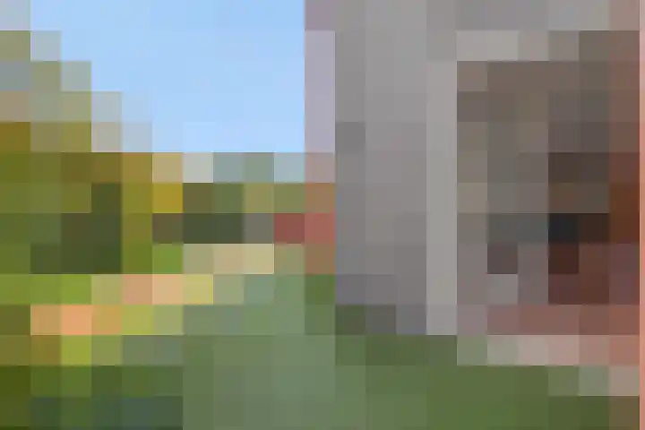 Holterveste 45 's-Hertogenbosch thumbnail 20