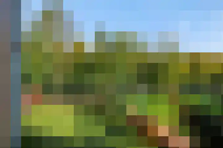 Holterveste 45 's-Hertogenbosch thumbnail 21
