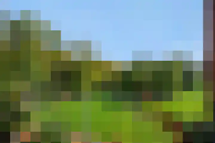 Holterveste 45 's-Hertogenbosch thumbnail 22