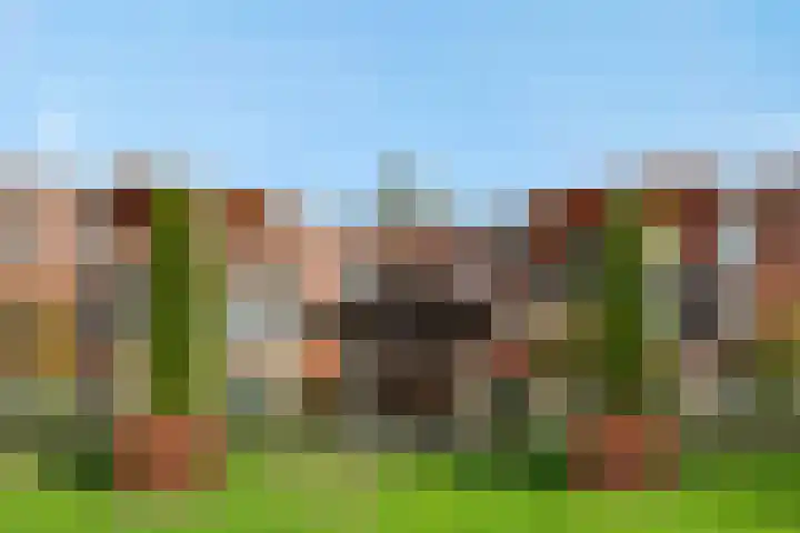 Holterveste 45 's-Hertogenbosch thumbnail 43