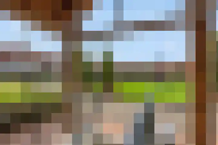 Holterveste 45 's-Hertogenbosch thumbnail 44