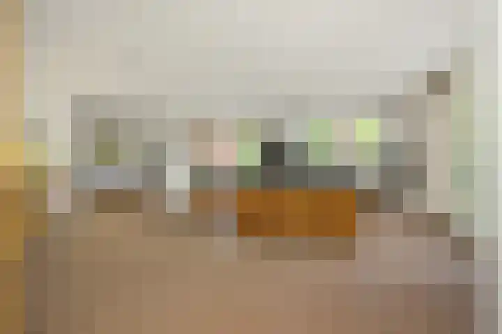 Holterveste 45 's-Hertogenbosch thumbnail 6