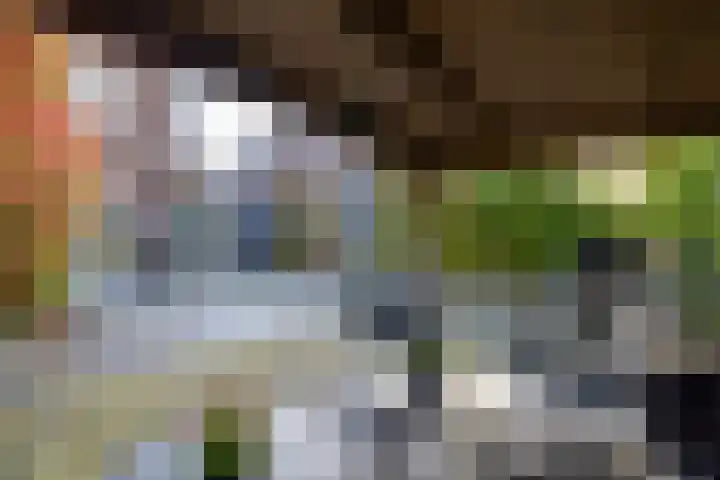 Holterweg 100 Doetinchem thumbnail 19