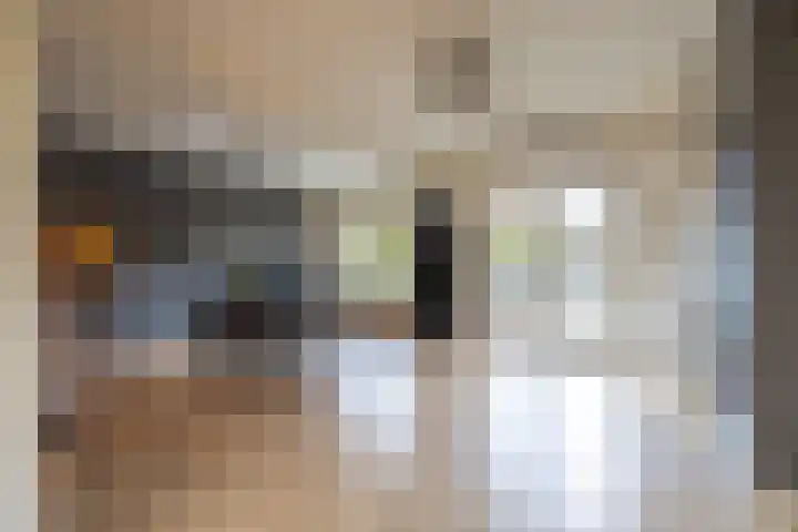 Holterweg 100 Doetinchem thumbnail 7