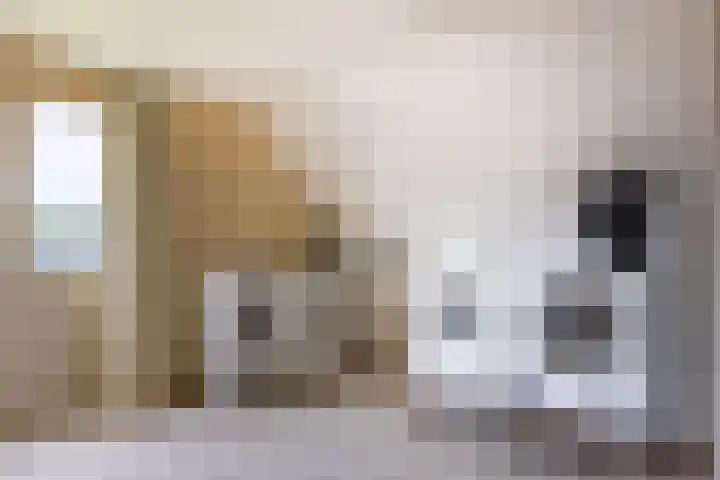 Holterweg 130 Lettele thumbnail 41