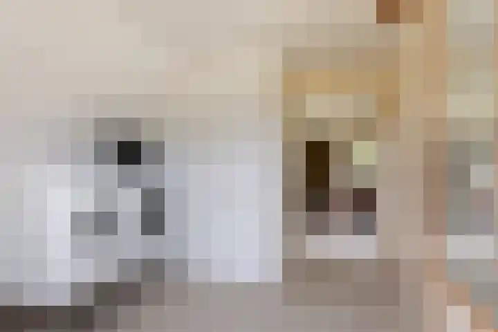 Holterweg 130 Lettele thumbnail 42