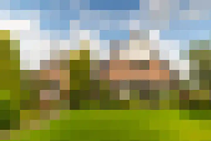 Holterweg 130 Lettele thumbnail 51