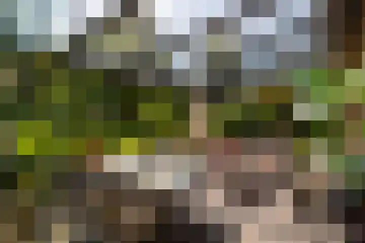 Holterweg 130 Lettele thumbnail 52