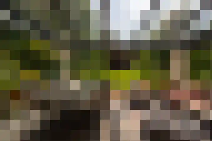 Holterweg 130 Lettele thumbnail 53