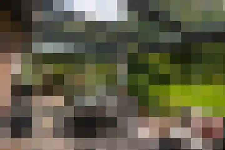 Holterweg 130 Lettele thumbnail 54