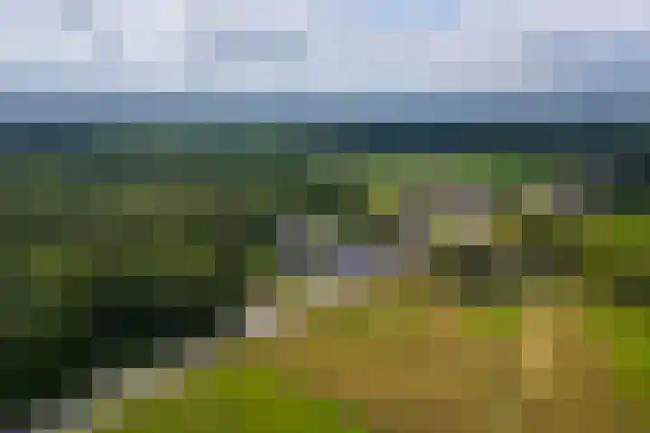 Holterweg 130 Lettele thumbnail 56