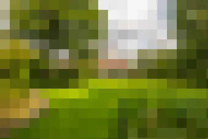 Holterweg 130 Lettele thumbnail 57