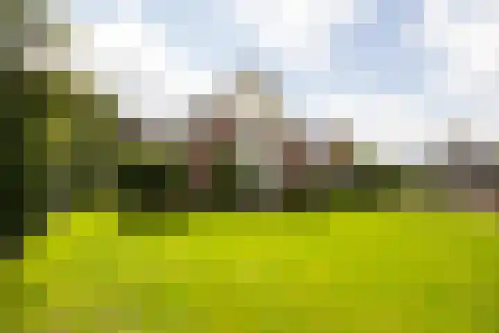 Holterweg 130 Lettele thumbnail 58