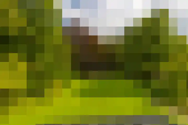 Holterweg 130 Lettele thumbnail 59