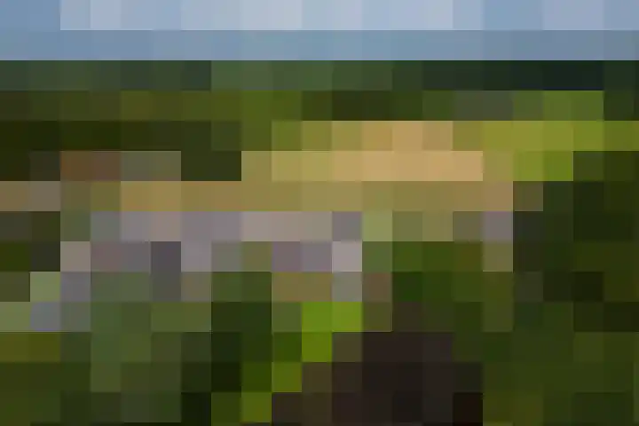 Holterweg 130 Lettele thumbnail 60