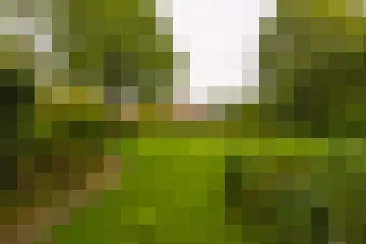 Holterweg 130 Lettele thumbnail 61
