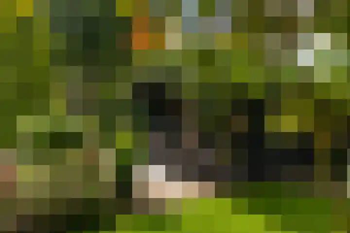 Holterweg 130 Lettele thumbnail 62