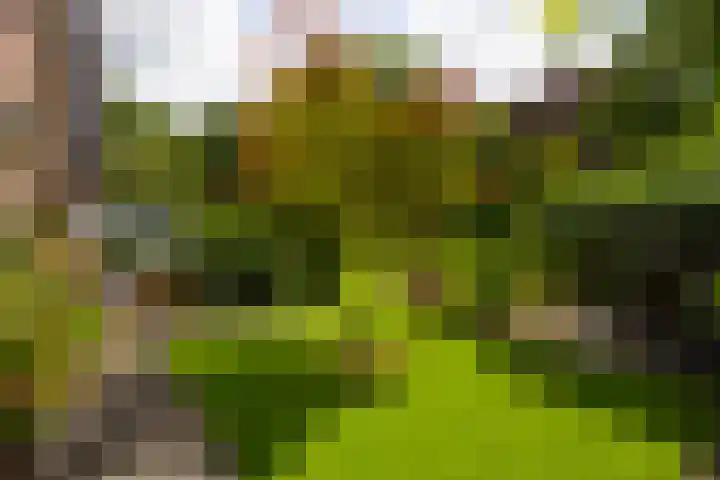 Holterweg 130 Lettele thumbnail 63