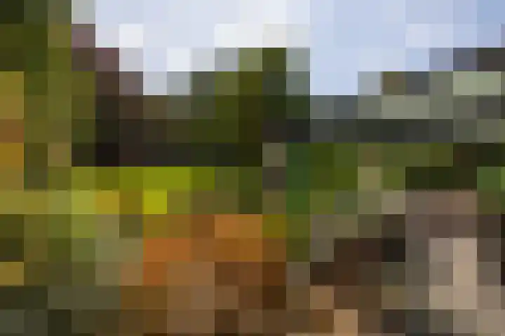 Holterweg 130 Lettele thumbnail 64